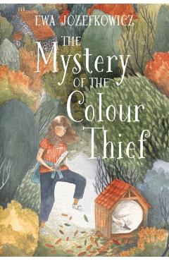 Mystery of the Colour Thief