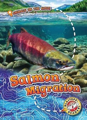 Salmon Migration