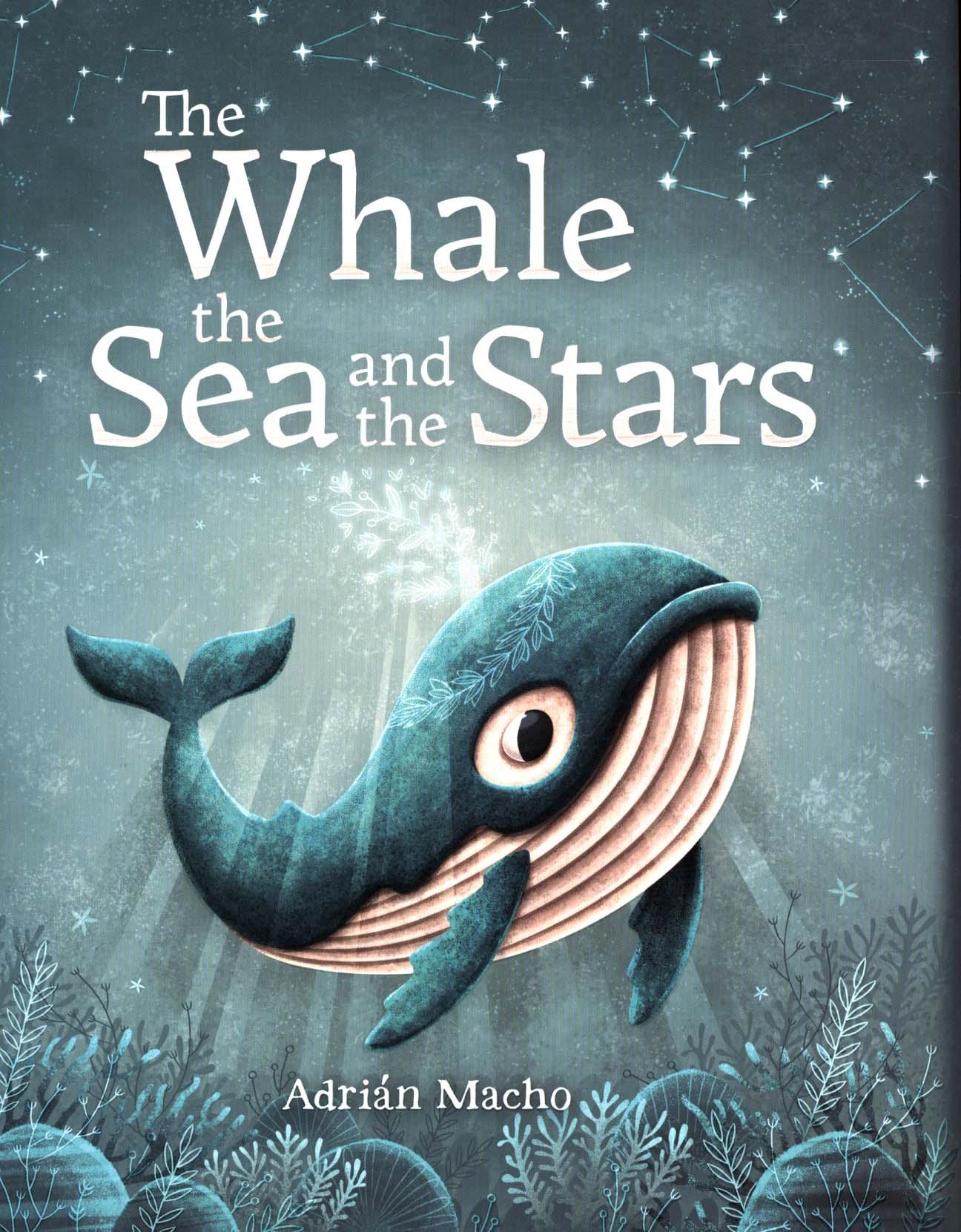 Whale, the Sea and the Stars