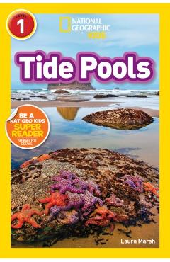 Tide Pools (L1)