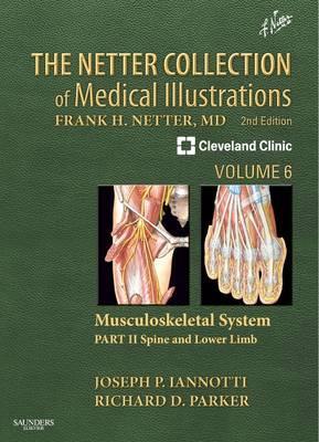 Netter Collection of Medical Illustrations: Musculoskeletal