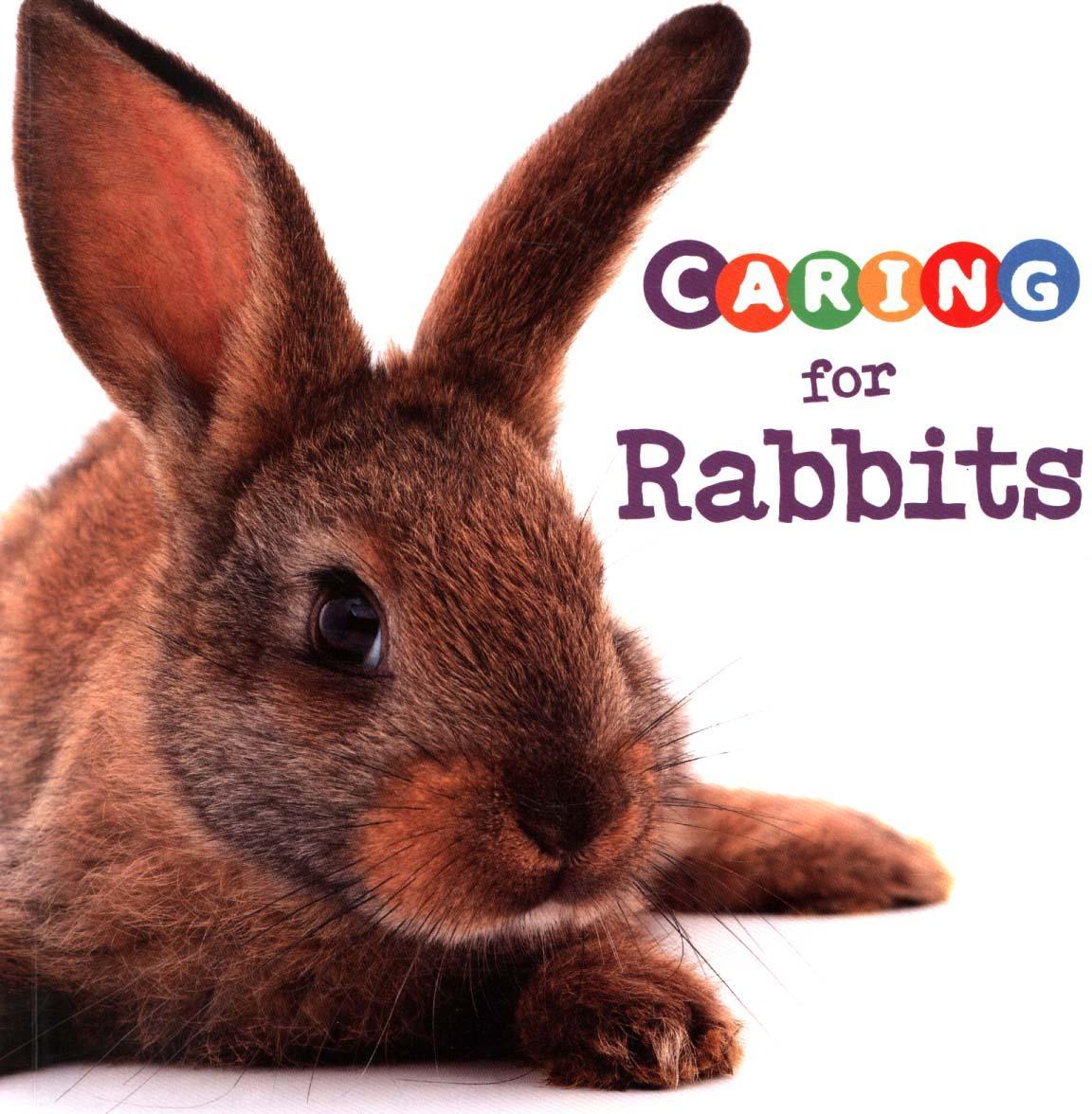 Caring for Rabbits