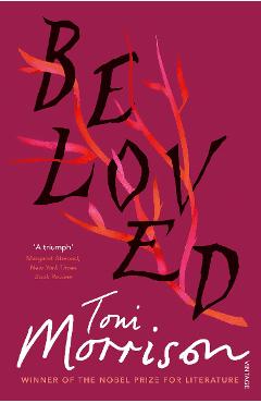 Coperta cărții 'Beloved'