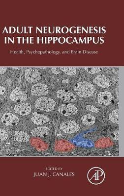 Adult Neurogenesis in the Hippocampus