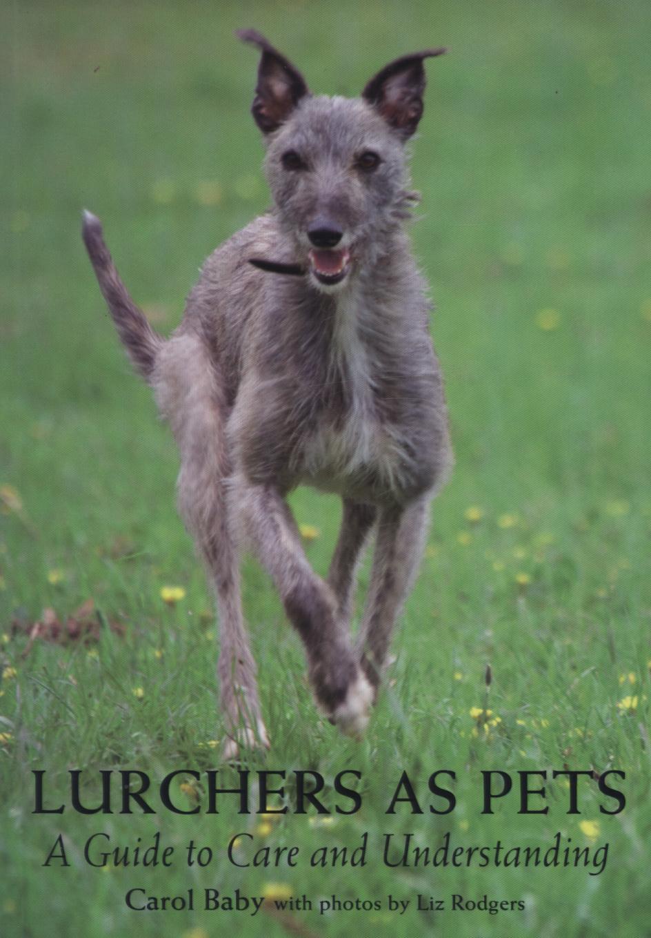 Lurchers as Pets