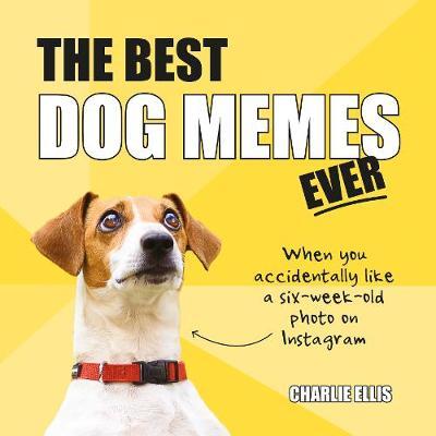 Best Dog Memes Ever