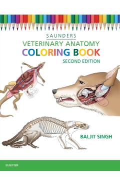 Veterinary Anatomy Coloring Book