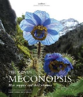 Genus Meconopsis, The