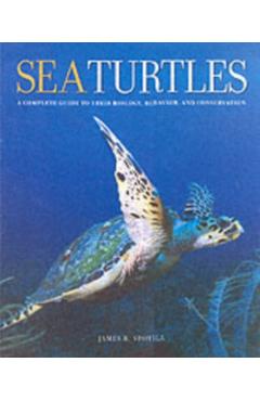 Sea Turtles
