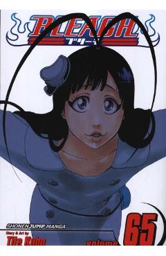 Coperta cărții 'Bleach, Vol. 65'