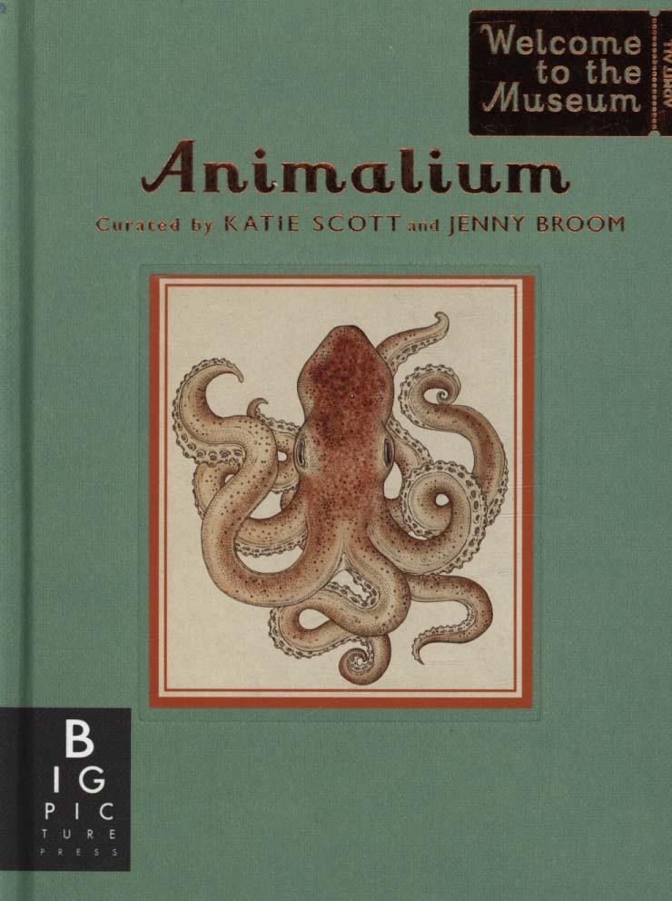 Animalium (Mini Gift Edition)