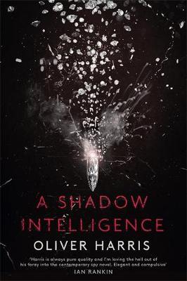 Shadow Intelligence