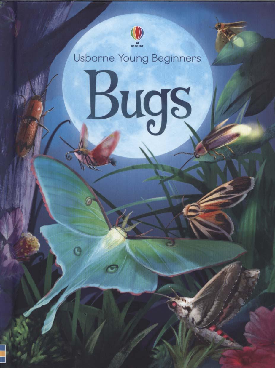 Young Beginners Bugs