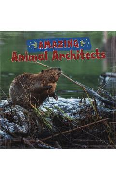 Poza produsului Amazing Animal Architects