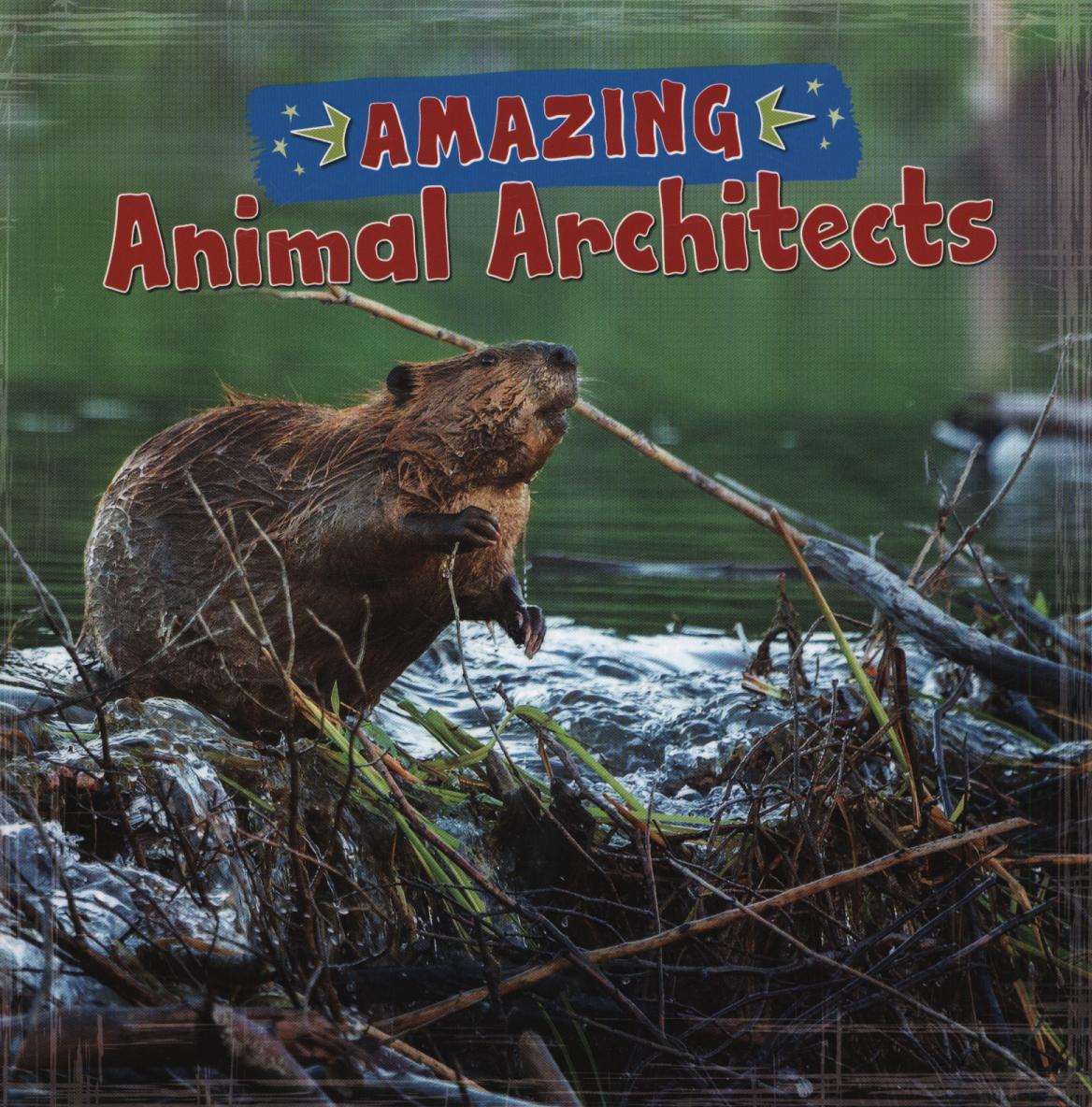 Coperta cărții 'Amazing Animal Architects'