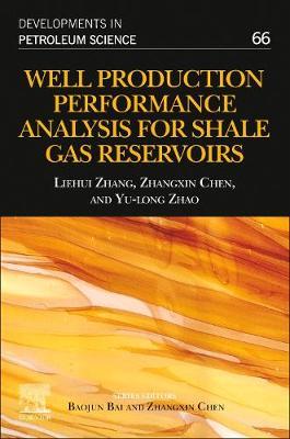 Well Production Performance Analysis for Shale Gas Reservoir