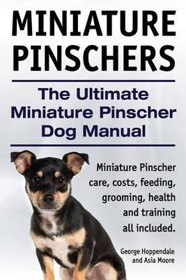 Miniature Pinschers. the Ultimate Miniature Pinscher Dog Man