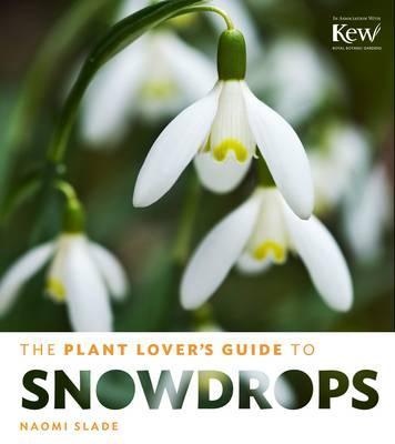 Plant Lovers Guide to Snowdrops