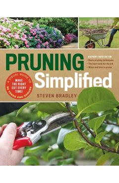 Pruning Simplified