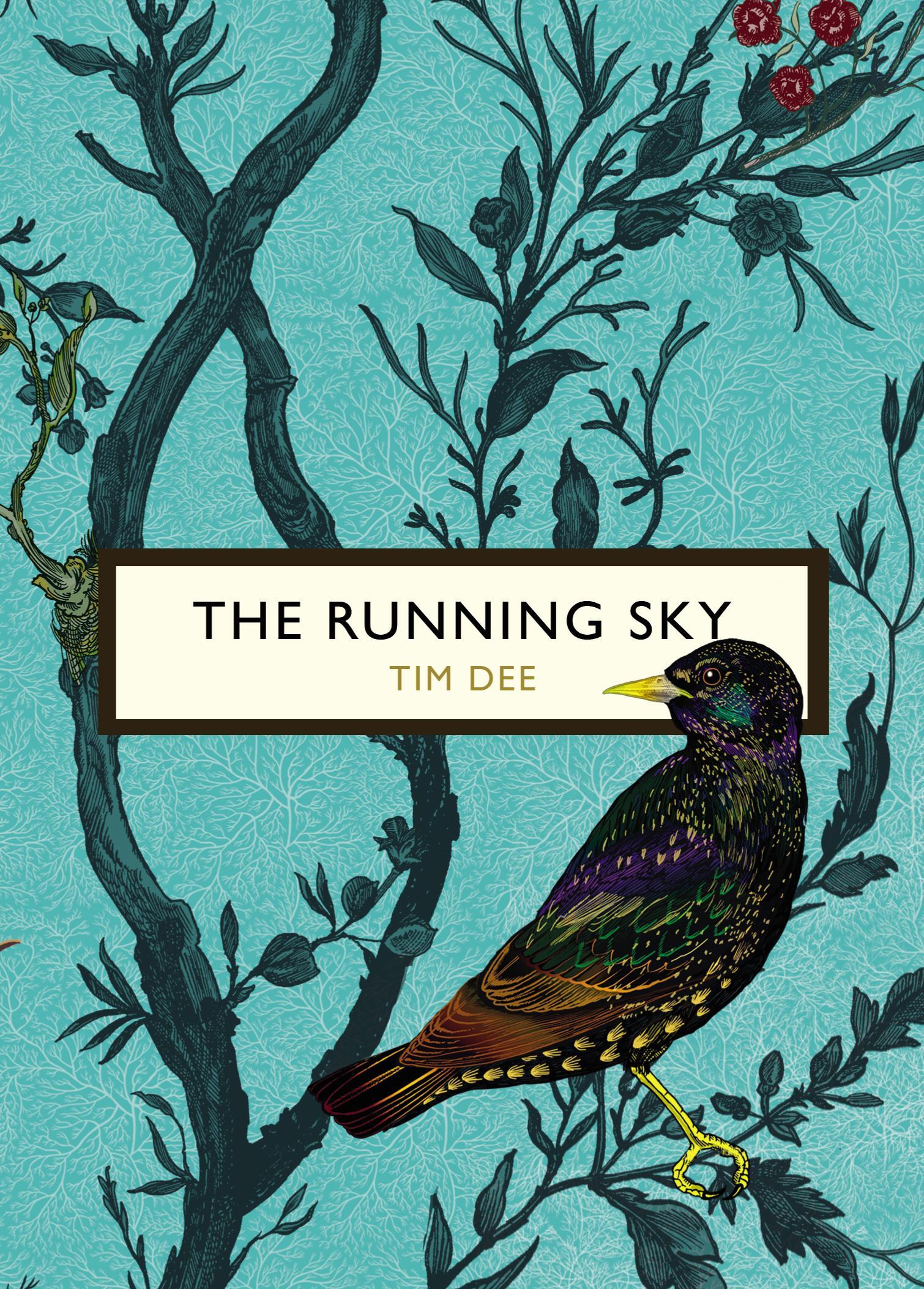 Running Sky (The Birds and the Bees)