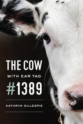 Cow with Ear Tag #1389