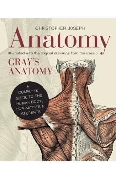 Anatomy