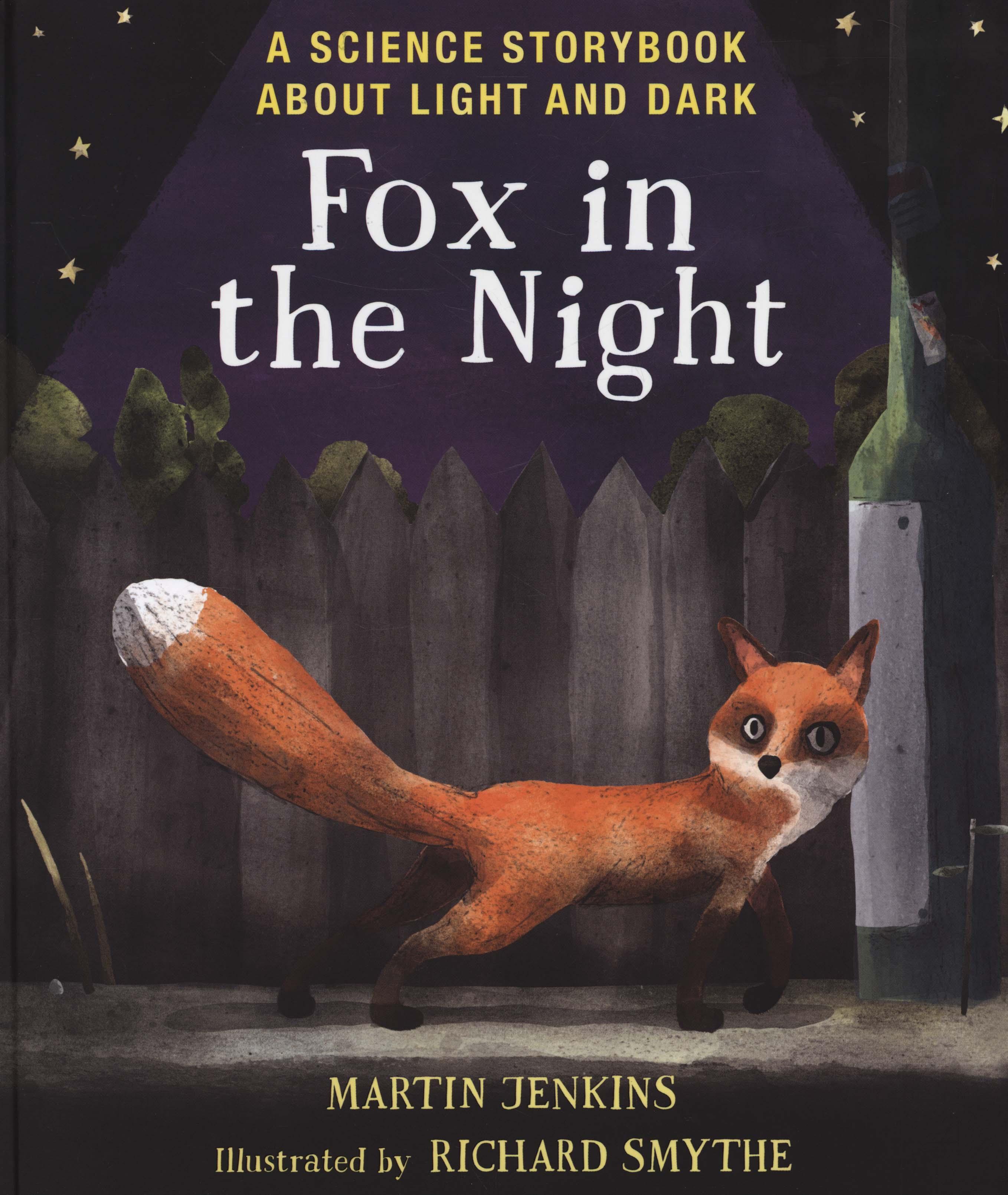 Fox in the Night: A Science Storybook About Light and Dark