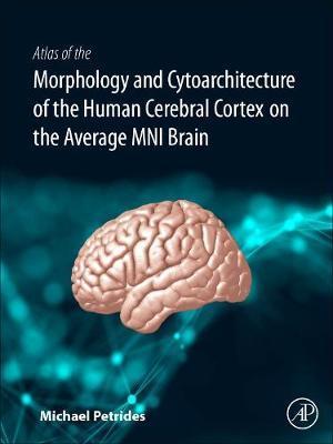 Atlas of the Morphology of the Human Cerebral Cortex on the