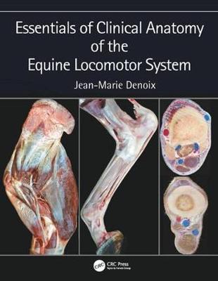 Essentials of Clinical Anatomy of the Equine Locomotor Syste