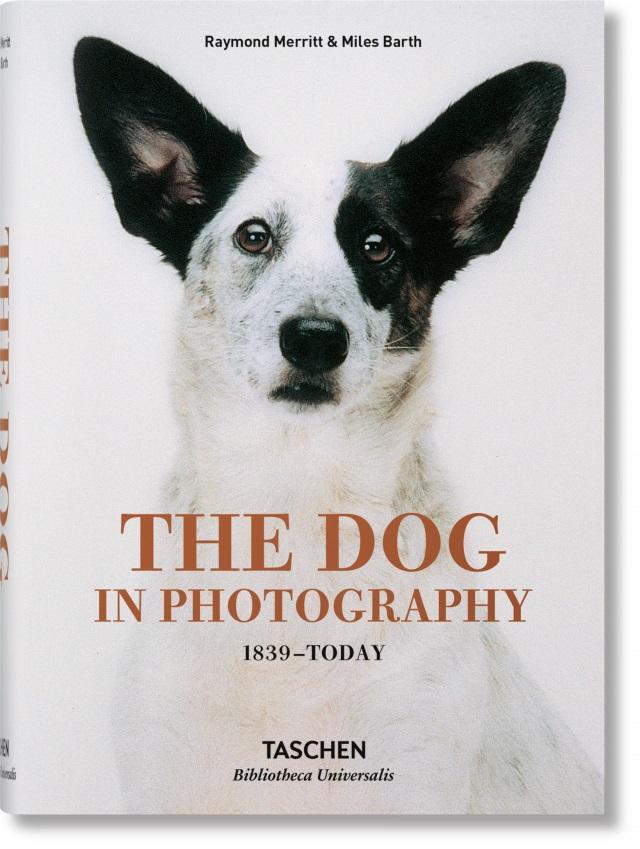 Dog in Photography 1839-Today