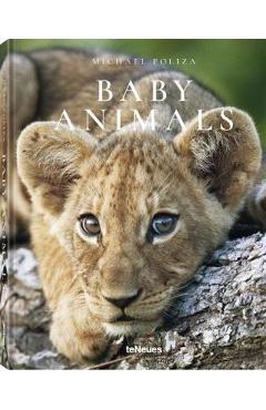 Poza produsului Baby Animals