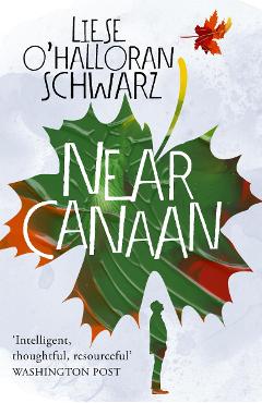 Coperta cărții 'Near Canaan'