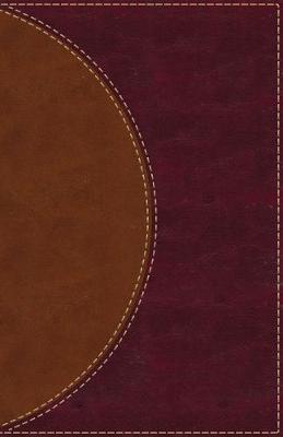 Amplified Reading Bible, Leathersoft, Brown, Indexed