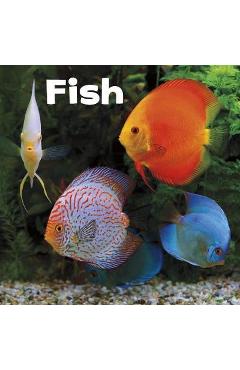 Coperta cărții 'Fish'