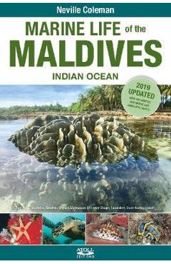 Coperta cărții 'Marine Life of the Maldives - Indian Ocean'
