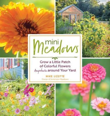 Mini Meadows: Grow a Little Patch of Colourful Flowers