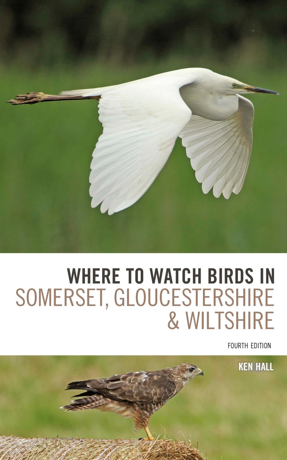 Where To Watch Birds in Somerset, Gloucestershire and Wiltsh
