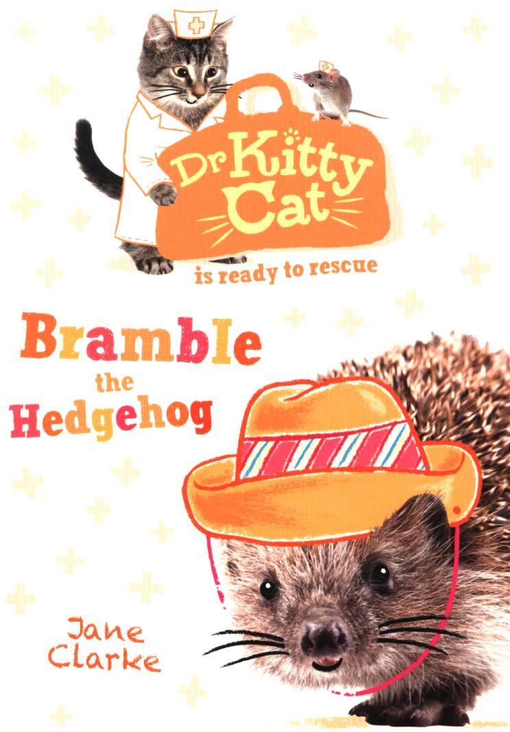 Dr KittyCat is Ready to Rescue: Bramble the Hedgehog