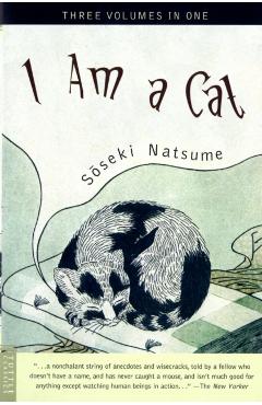 I am a Cat