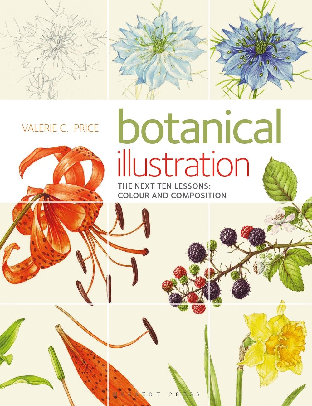Botanical Illustration the Next Ten Lessons: Colour and Comp