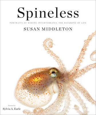 Spineless: Portraits of Marine Invertebrates, the Backbone o