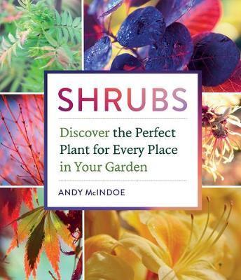 Shrubs: Discover the Perfect Plant for Every Place in Your G