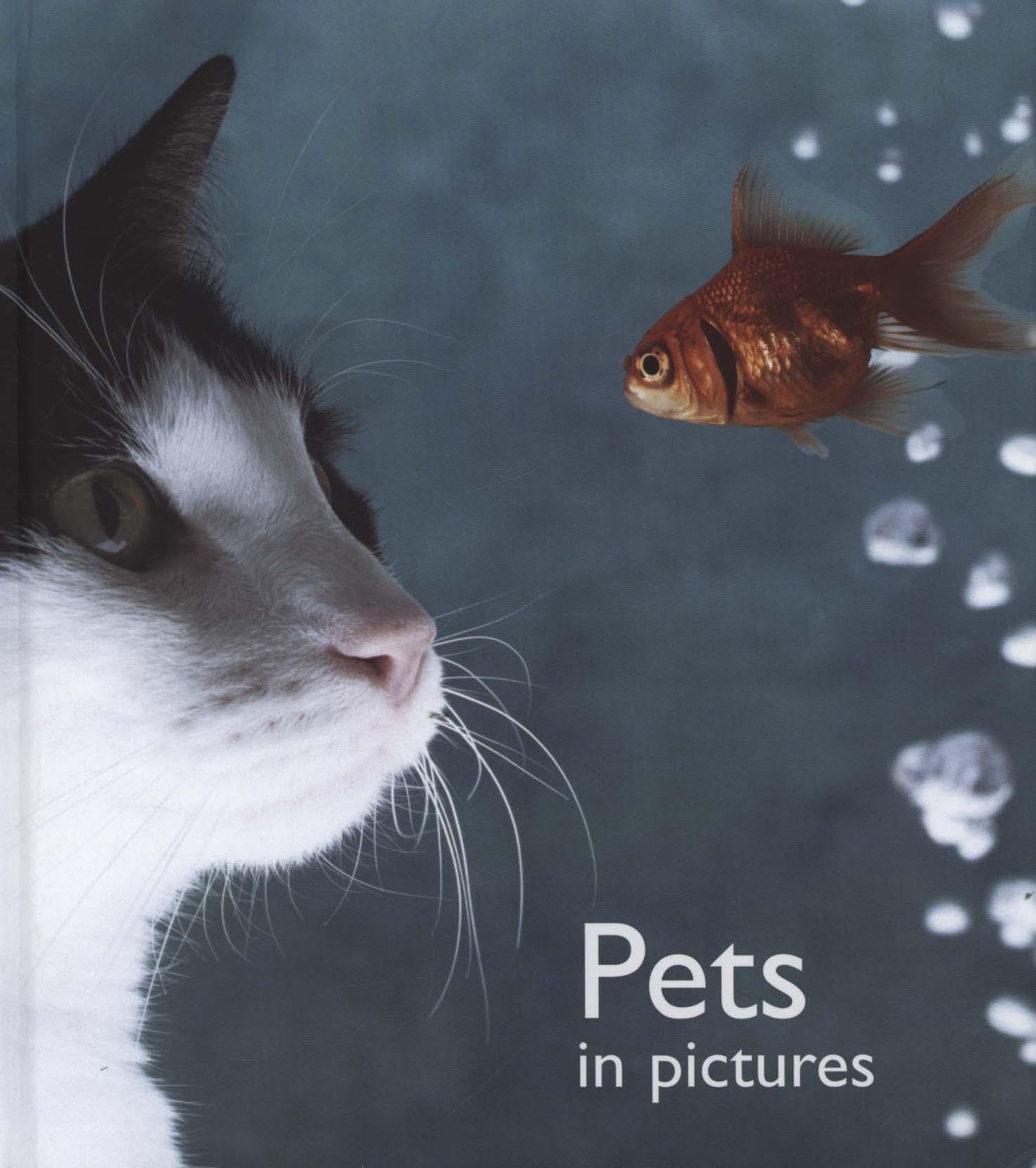 Pets in Pictures