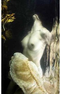 Coperta cărții 'Dark and Fetish Art'