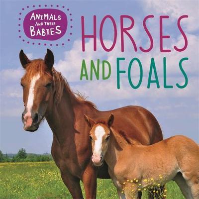 Animals and their Babies: Horses & foals