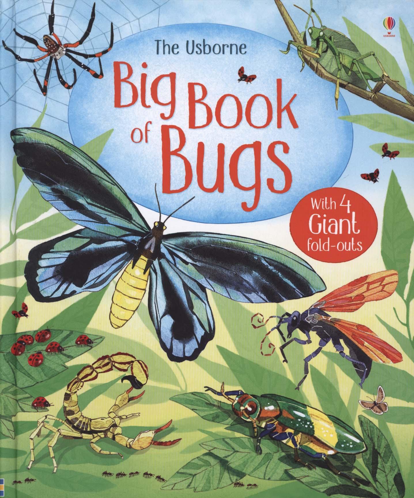 Big Book of Big Bugs