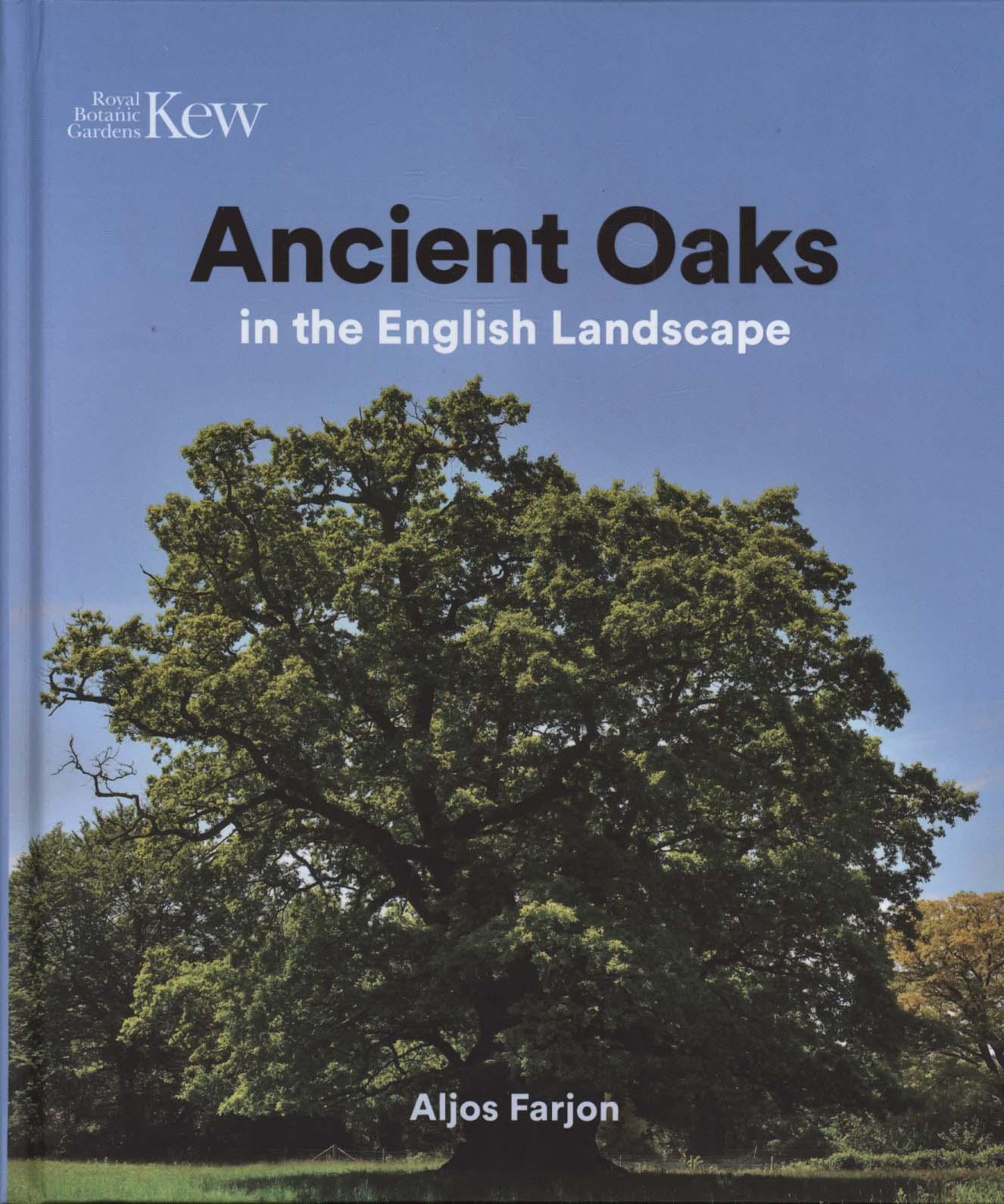 Ancient Oaks