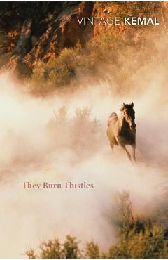 Coperta cărții 'They Burn Thistles'