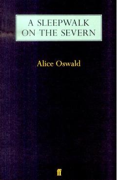 Coperta cărții 'Sleepwalk on the Severn'