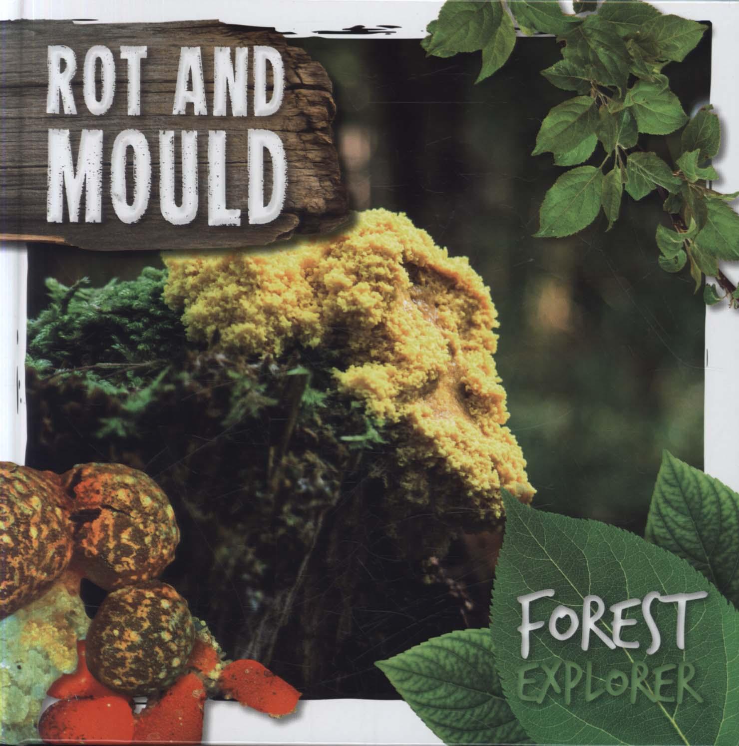 Rot & Mould